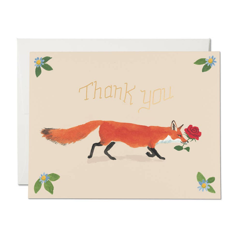 Thank You Fox Greeting Card Box Set