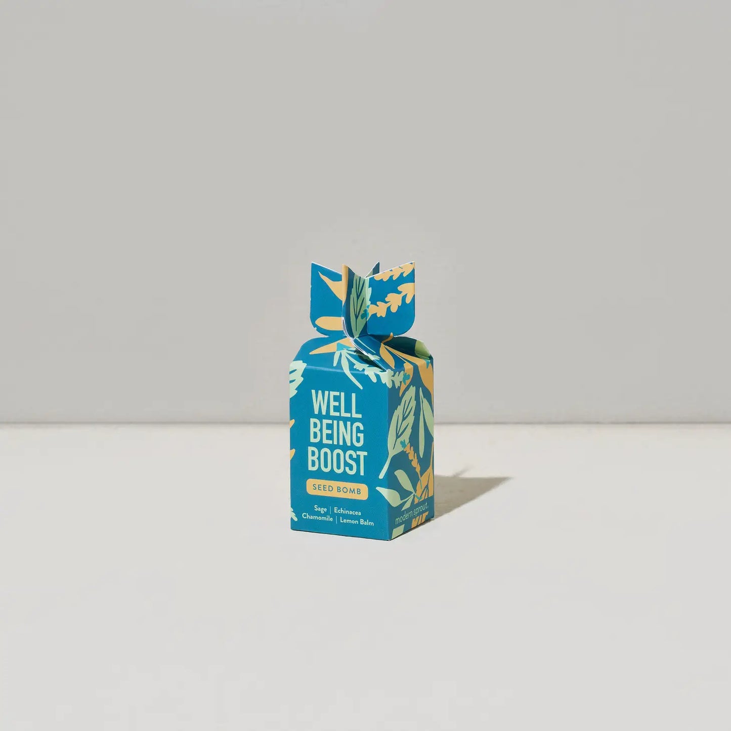 Modern Sprout Flower Bomb