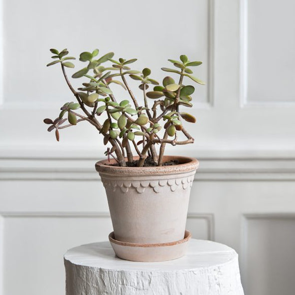 Kobenhavener Pots by Bergs Potter