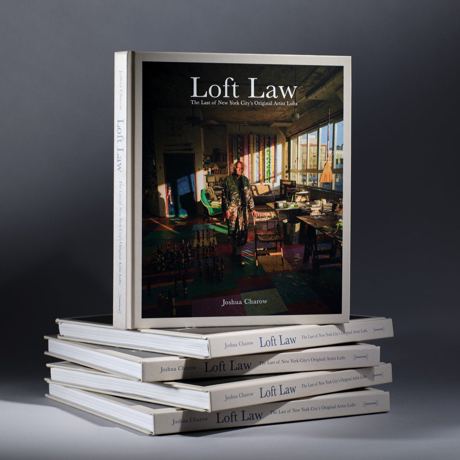 Loft Law - The last of New York CIty's Original Artitst Lofts
