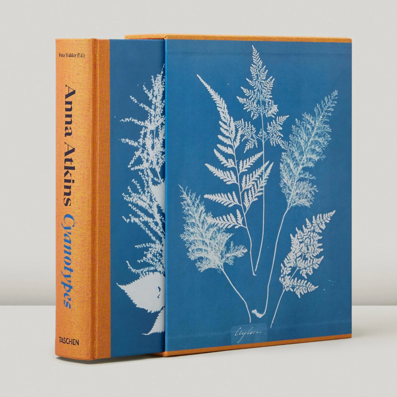 Anna Atkins Cyanotypes