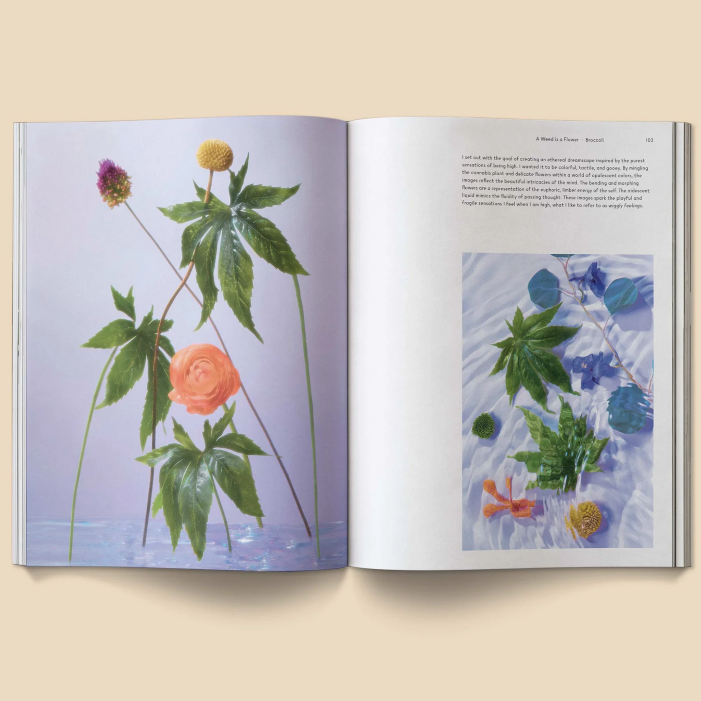 A Weed is a Flower: Artful Cannabis Photography
