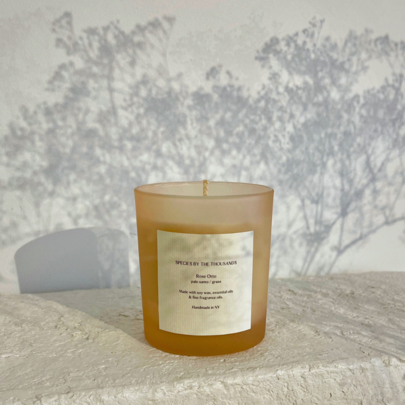 Species by the Thousand Soy Candle