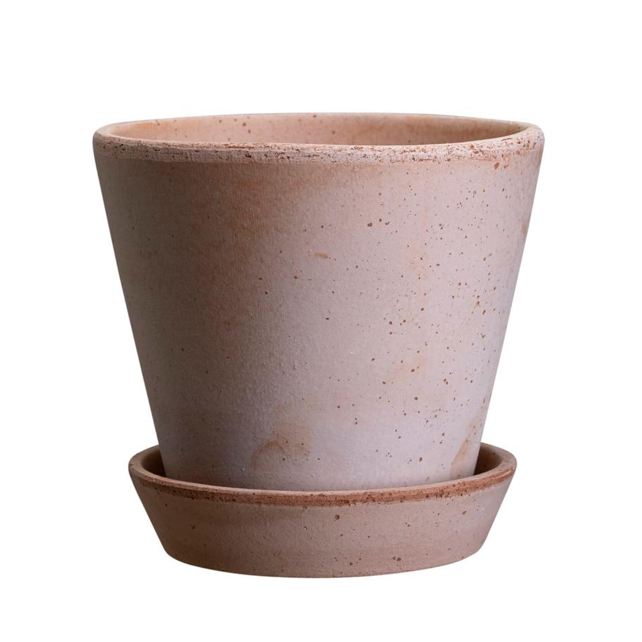 Julie RAW Rosa and Saucer by Bergs Potter