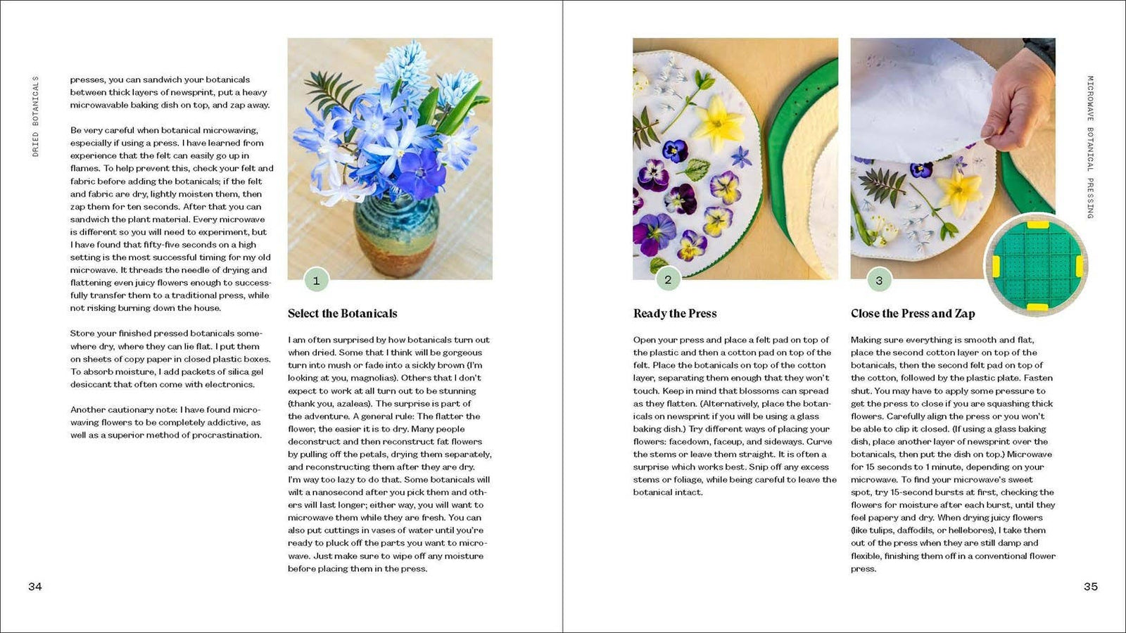 Art from the Garden