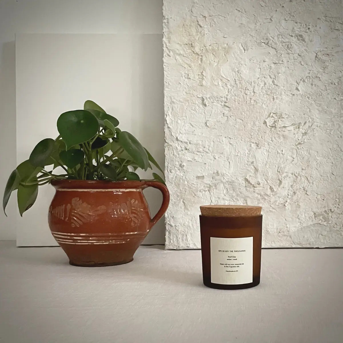 Species by the Thousand Soy Candle