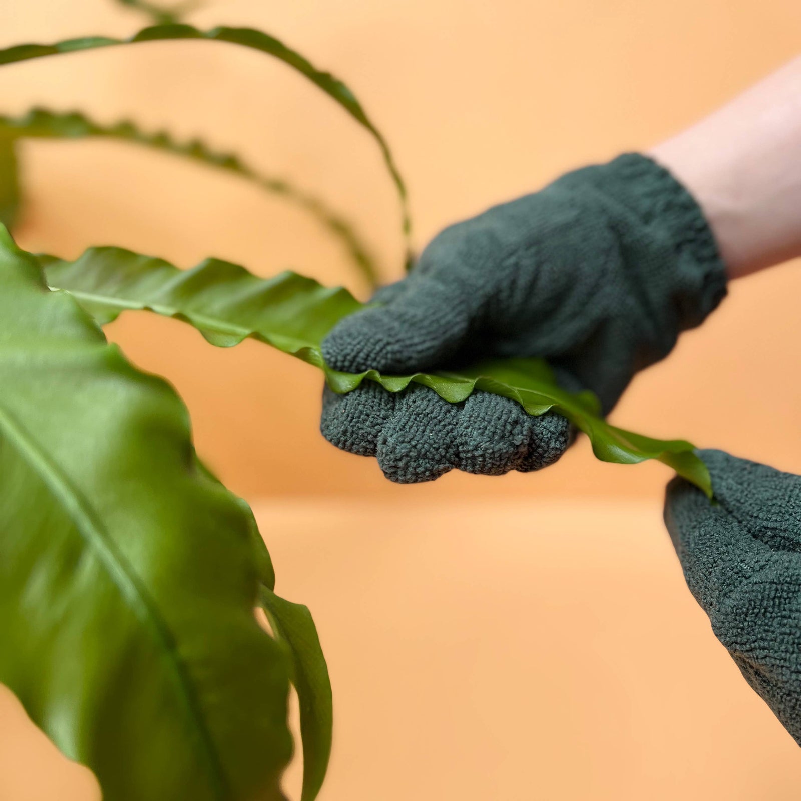 Microfiber Leaf Cleaning Gloves