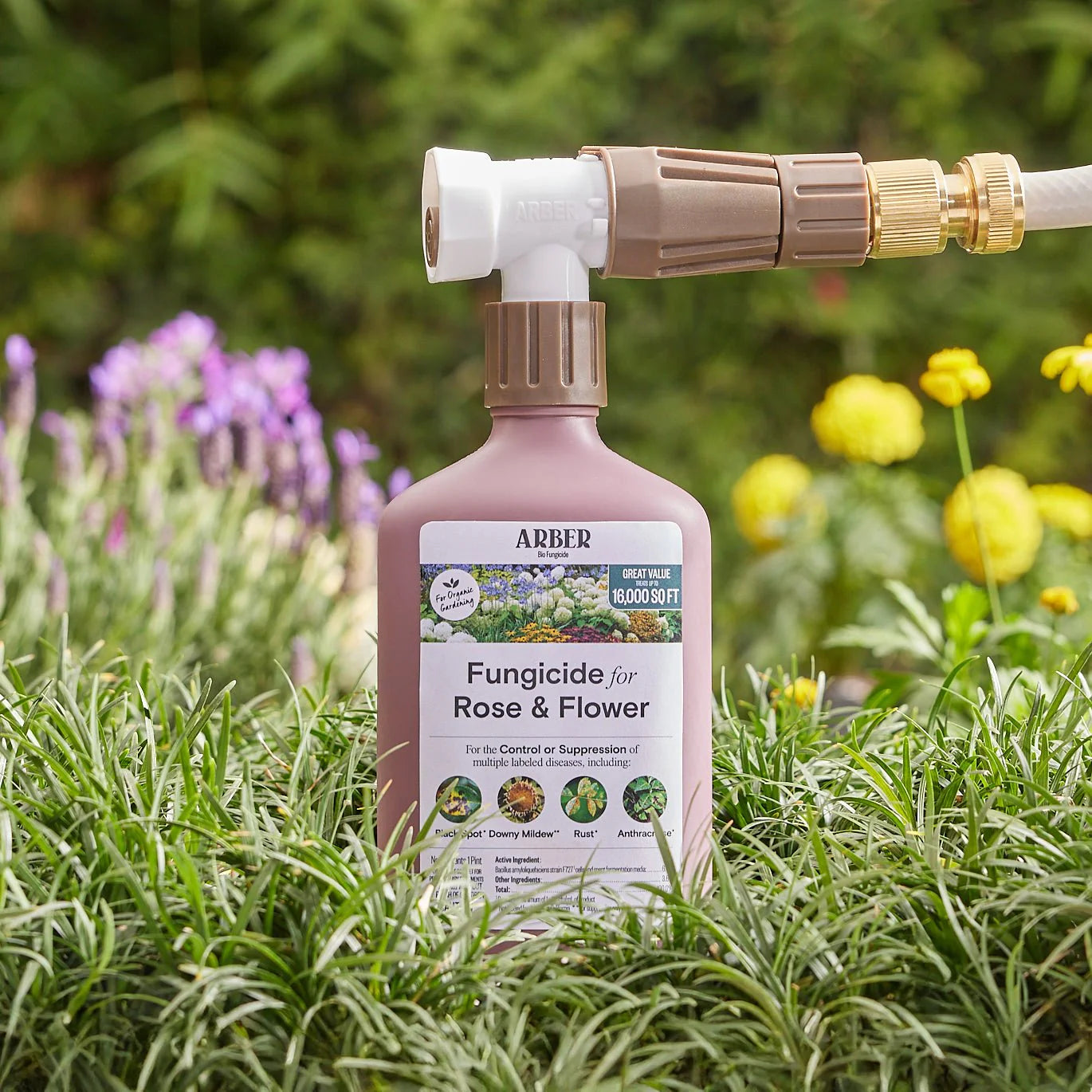 ARBER Organic Fungicide for Rose & Flower