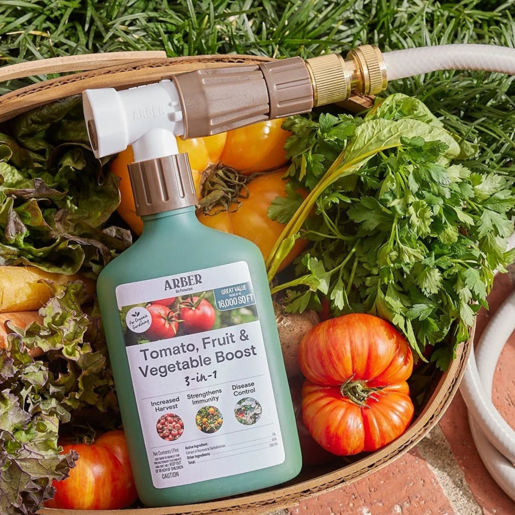 ARBER Organic Tomato, Fruit & Vegetable Boost