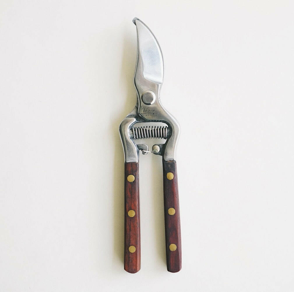 Thai Kitchen and Garden Shears - Kitchen - Verve - Hops Petunia Floral