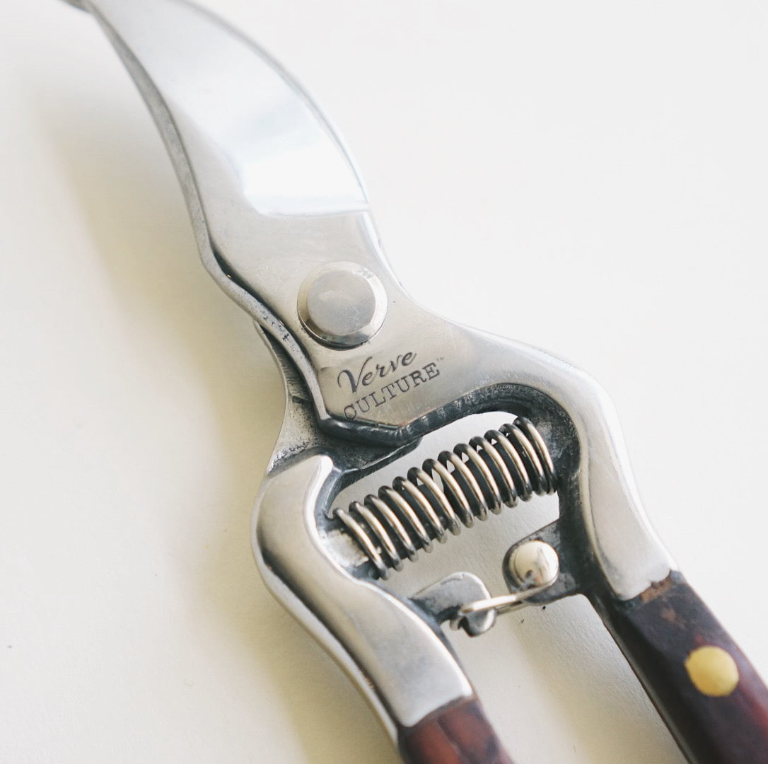 Thai Kitchen and Garden Shears - Kitchen - Verve - Hops Petunia Floral