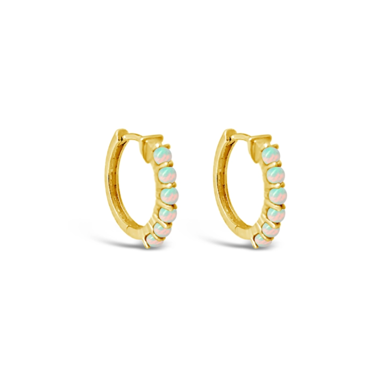 Sierra Winter Karma Hoop Earrings