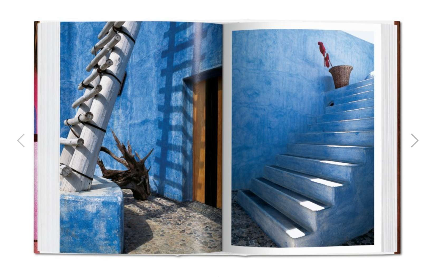 Living in Mexico - Books - Taschen - Hops Petunia Floral