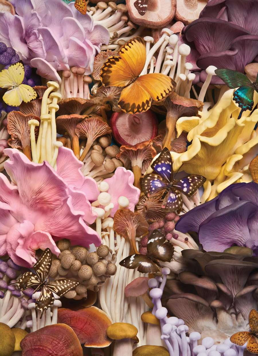 Piecework Puzzles (1000 Pieces) - Games - Piecework Puzzles - Hops Petunia Floral