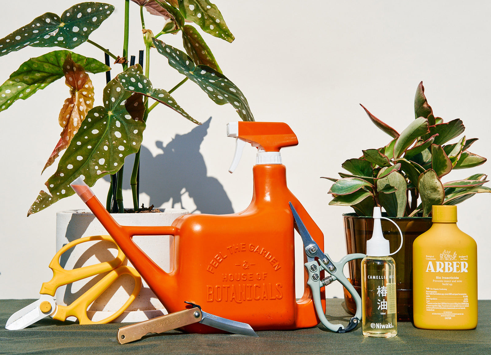 Plantcare & Gardening