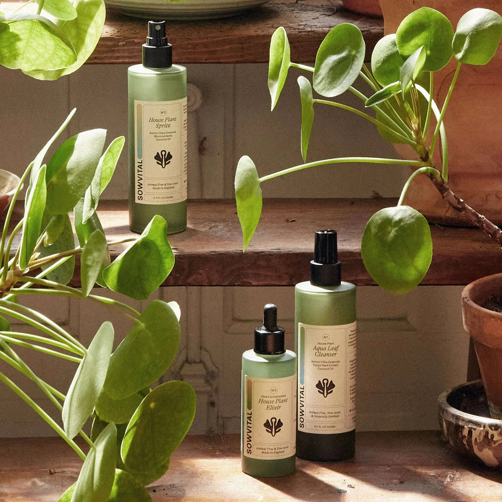 Plantcare & Gardening