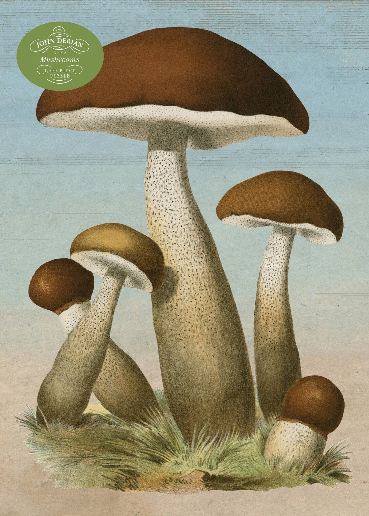 John Derian Mushrooms Puzzle