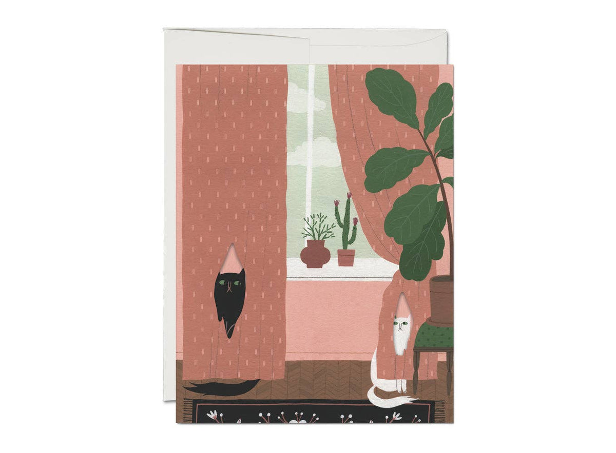 Cat Crimes greeting card