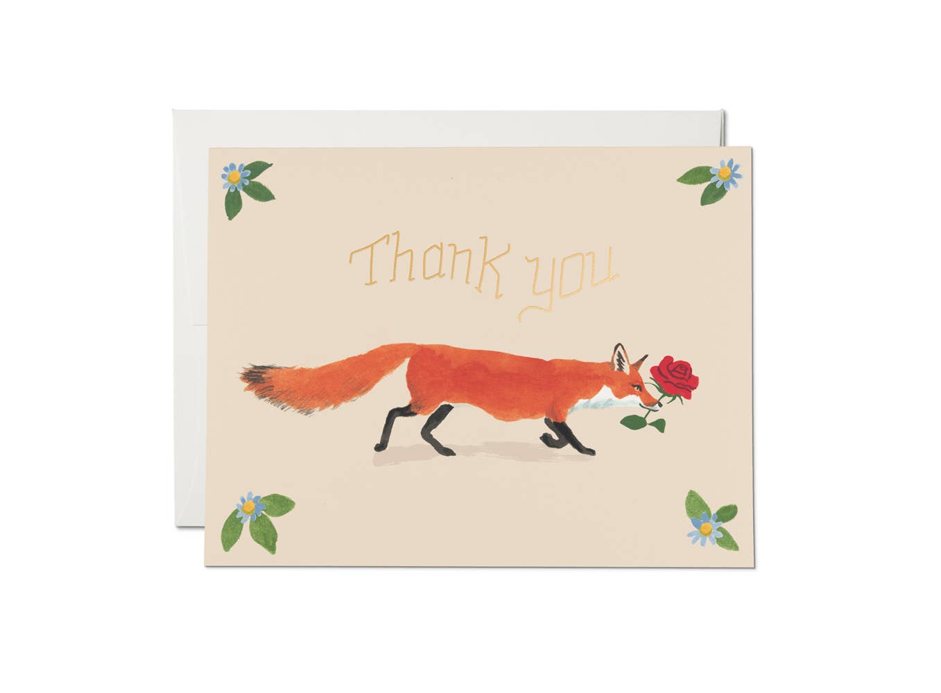 Thank You Fox Greeting Card Box Set