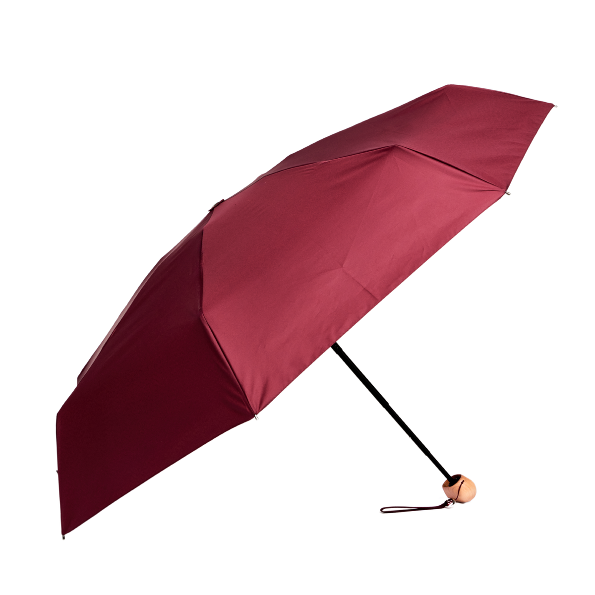 Mini Umbrella
