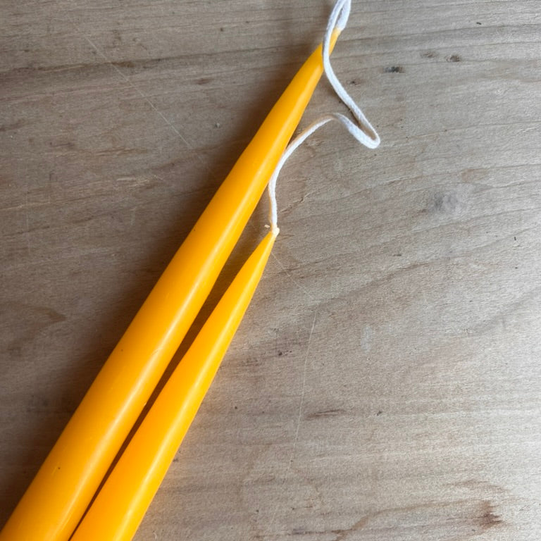 Danica Beeswax Taper Candles (Set of 2)