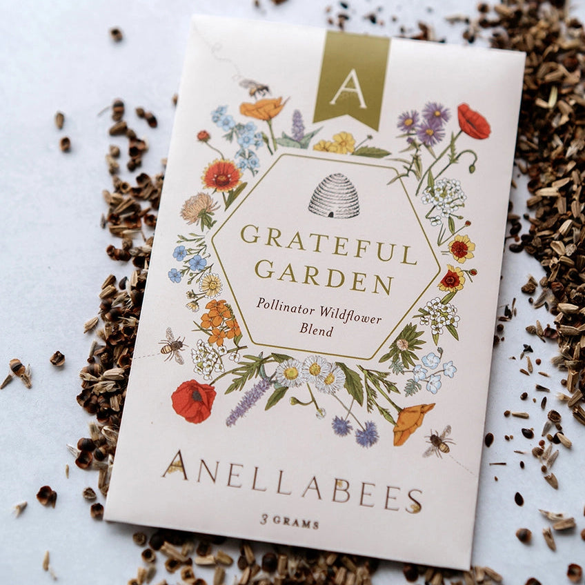 Pollinator Wildflower Seed Blend