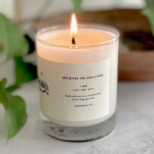 Species by the Thousand Soy Candle