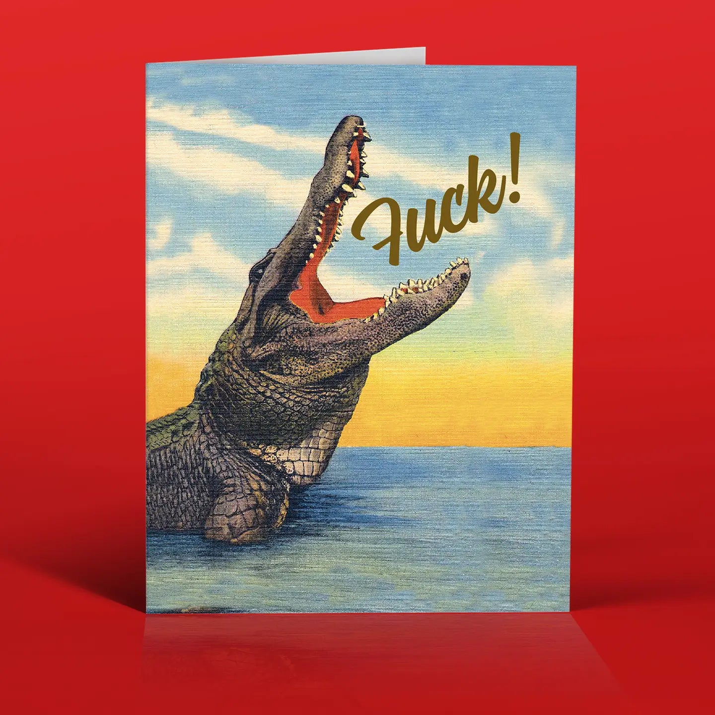 Offensive Delightful Cards