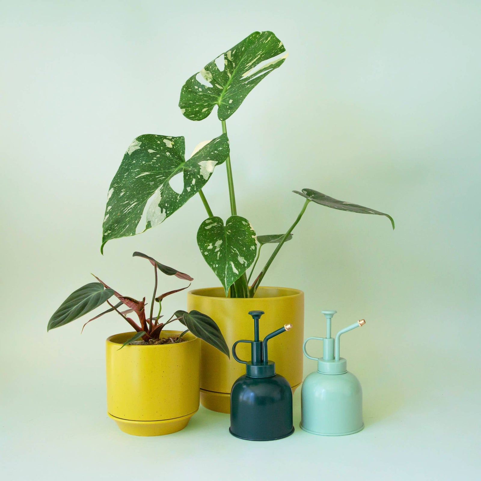 Jungle Club Plant Mister