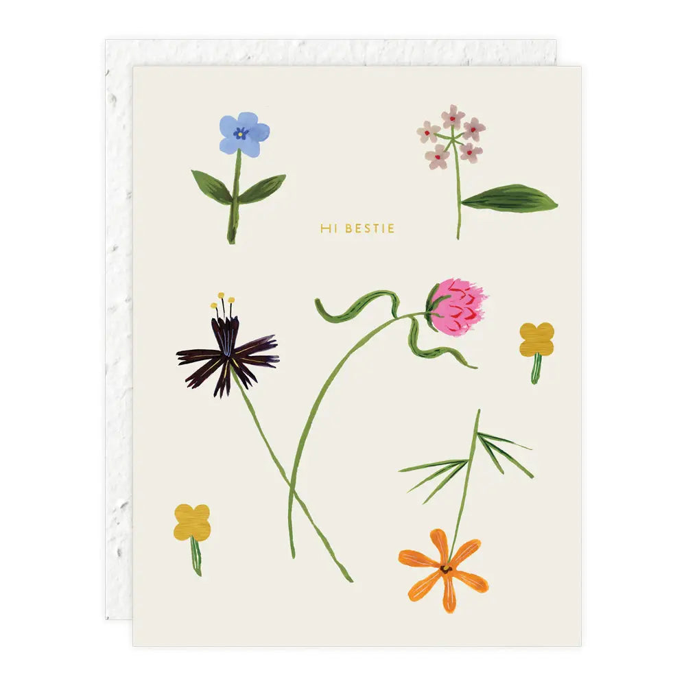 Seedlings Greeting Cards