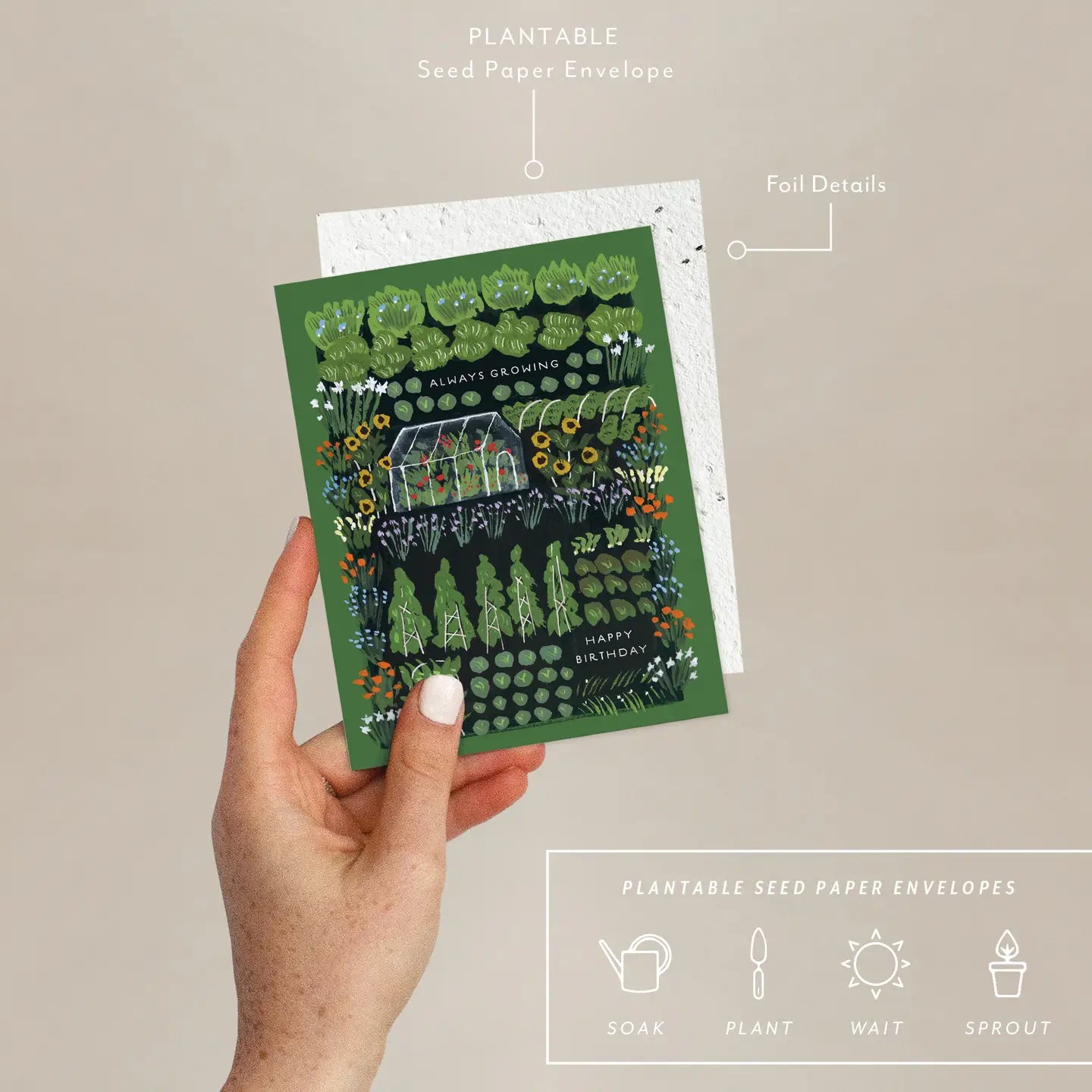 Seedlings Greeting Cards
