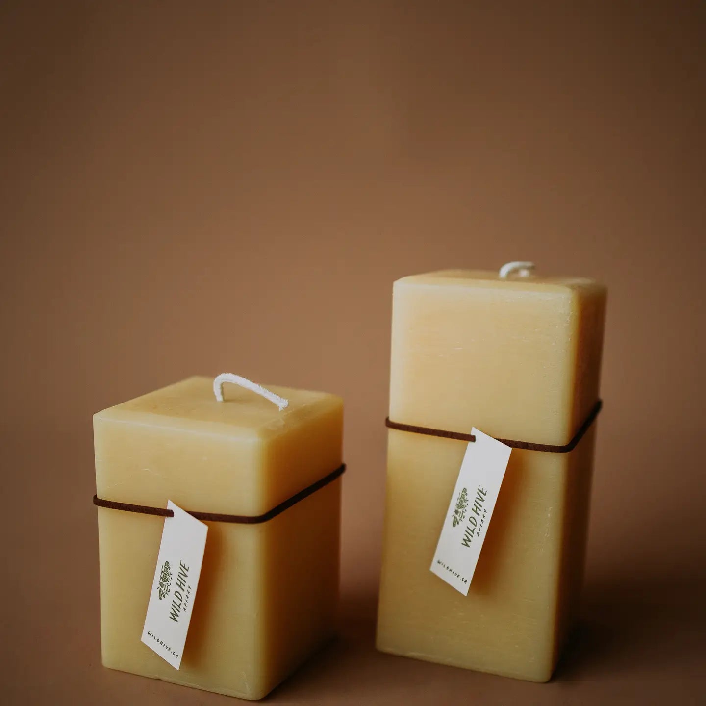 Wild Hive Square Beeswax Candle
