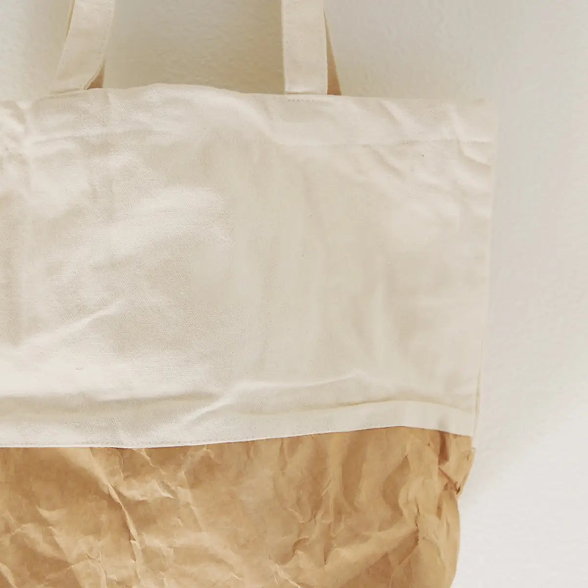 Dupont Paper and Canvas Tote
