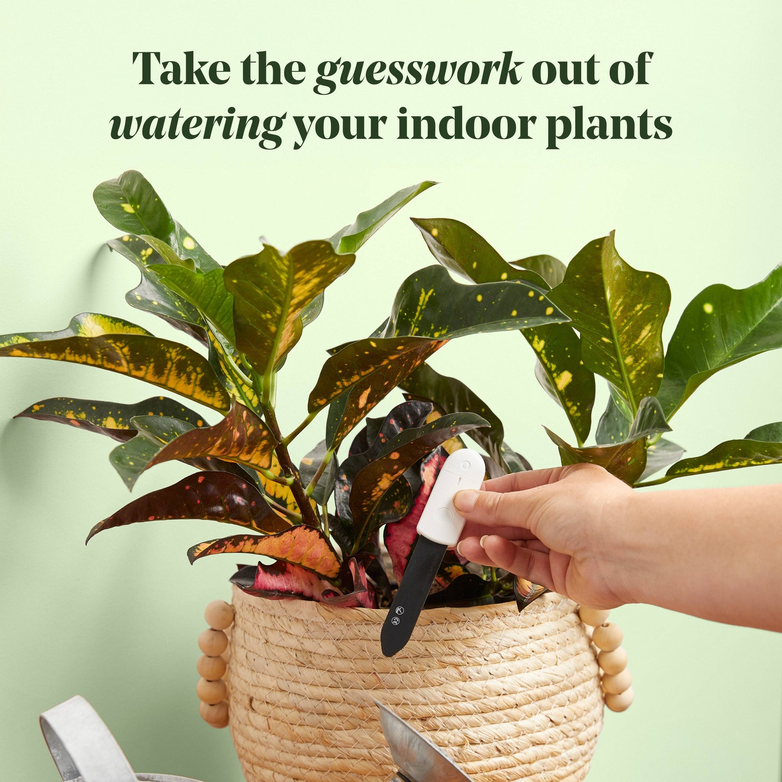 Soil Moisture Meter For Houseplants