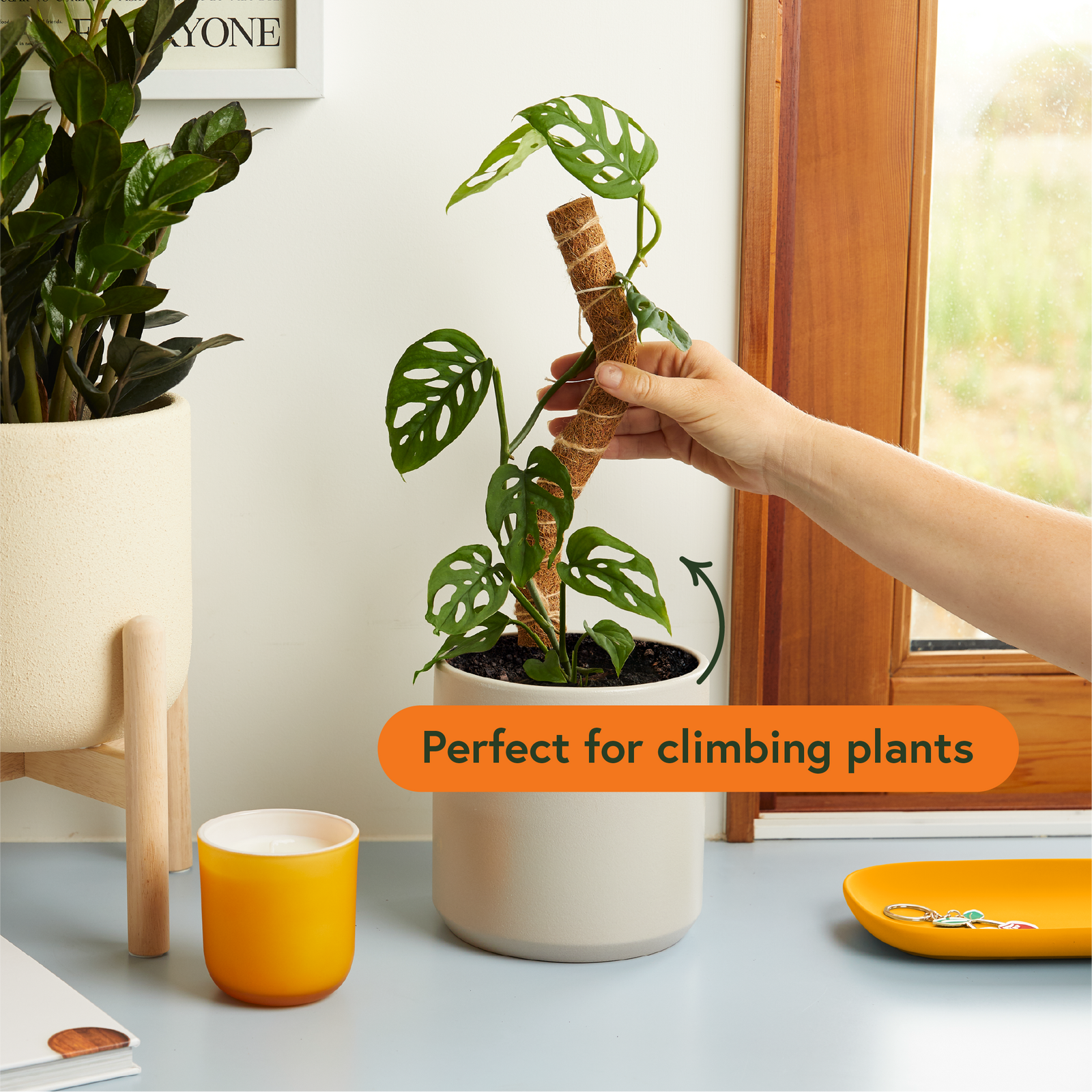 Bendable Grow Pole