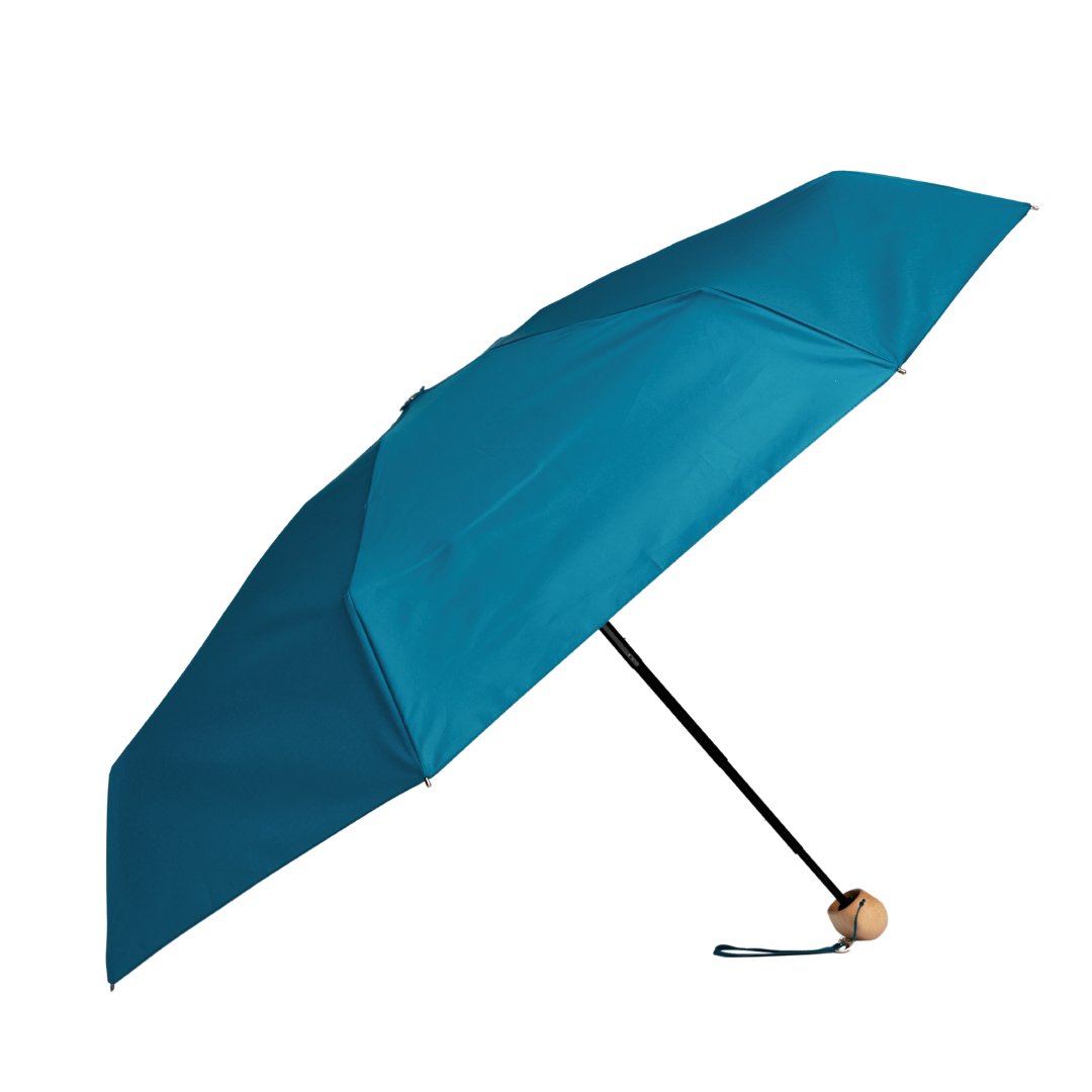 Mini Umbrella
