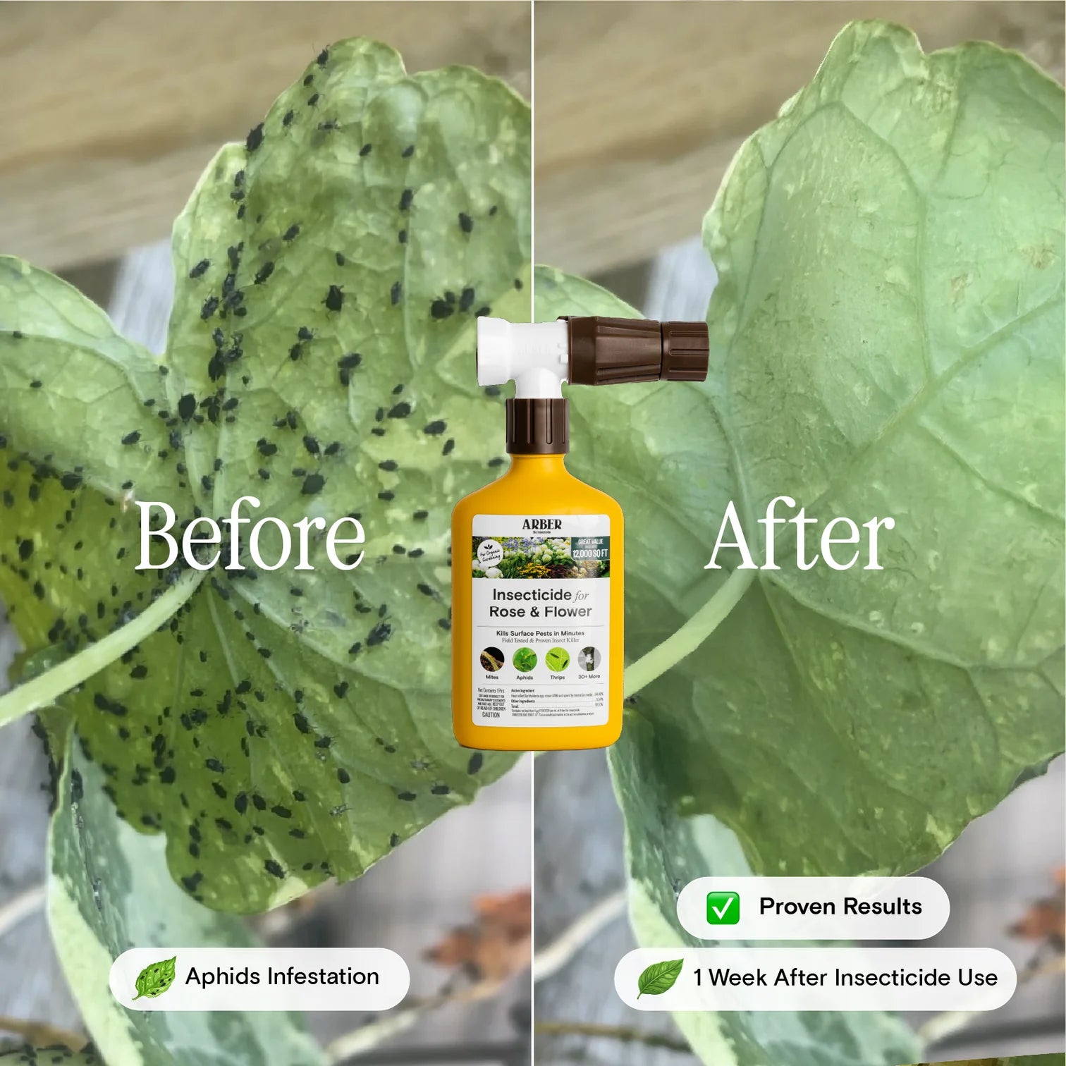 ARBER Organic Insecticide for Rose & Flower