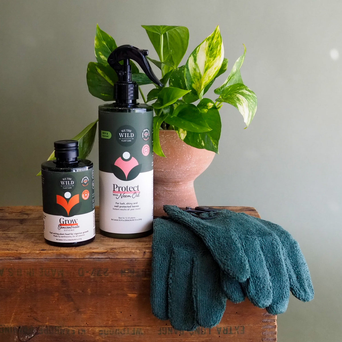 Grow Organic Plant Food Concentrate