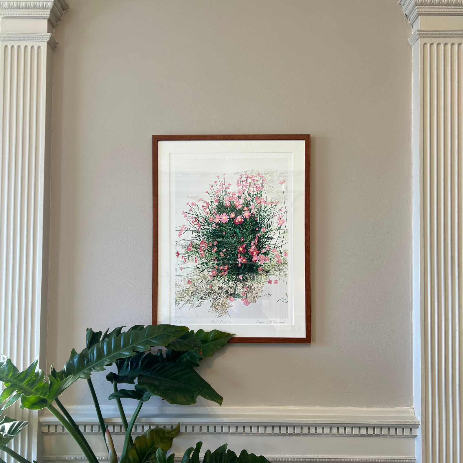 GIANNI NOTARIANNI - Pink Daisies