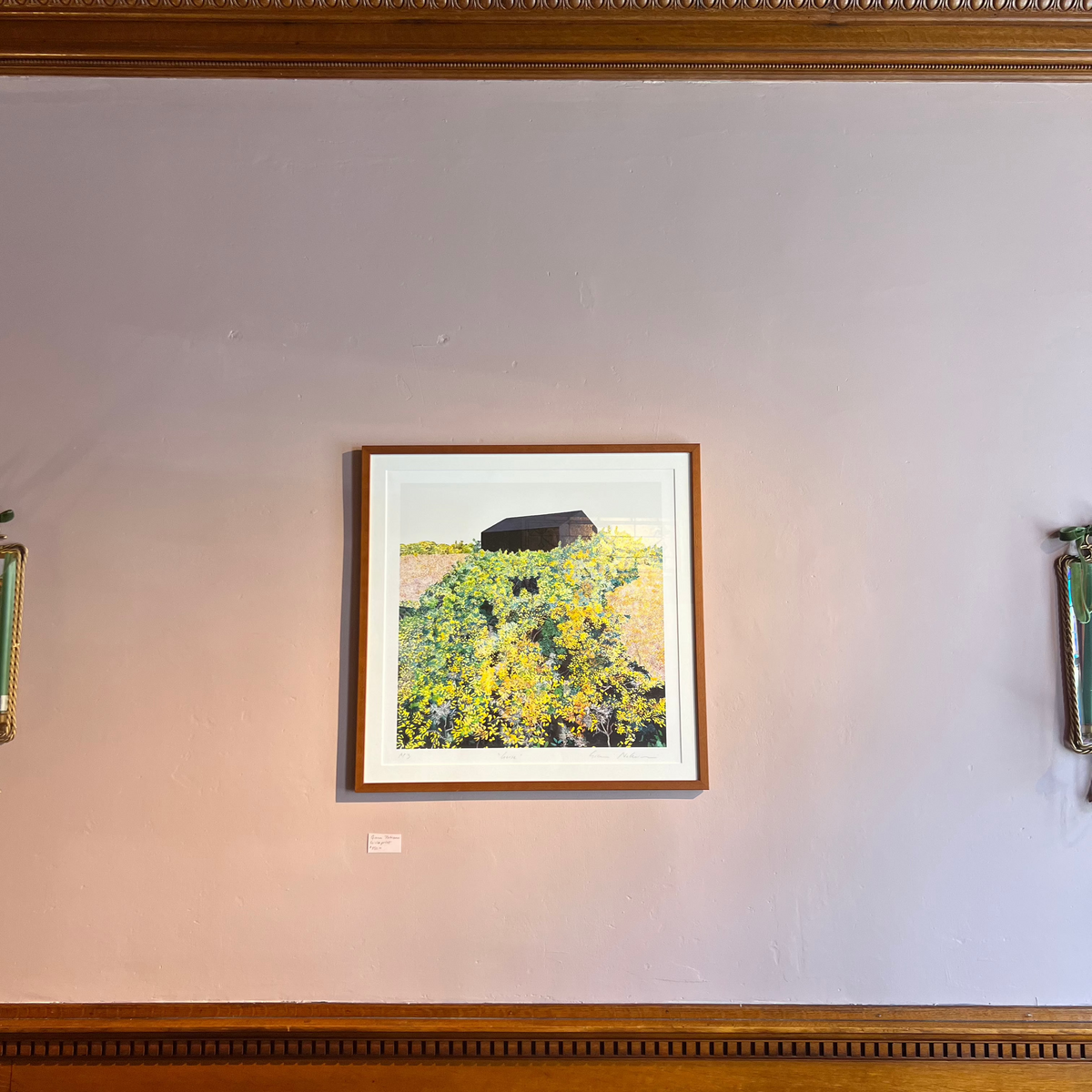 GIANNI NOTARIANNI - Gorse