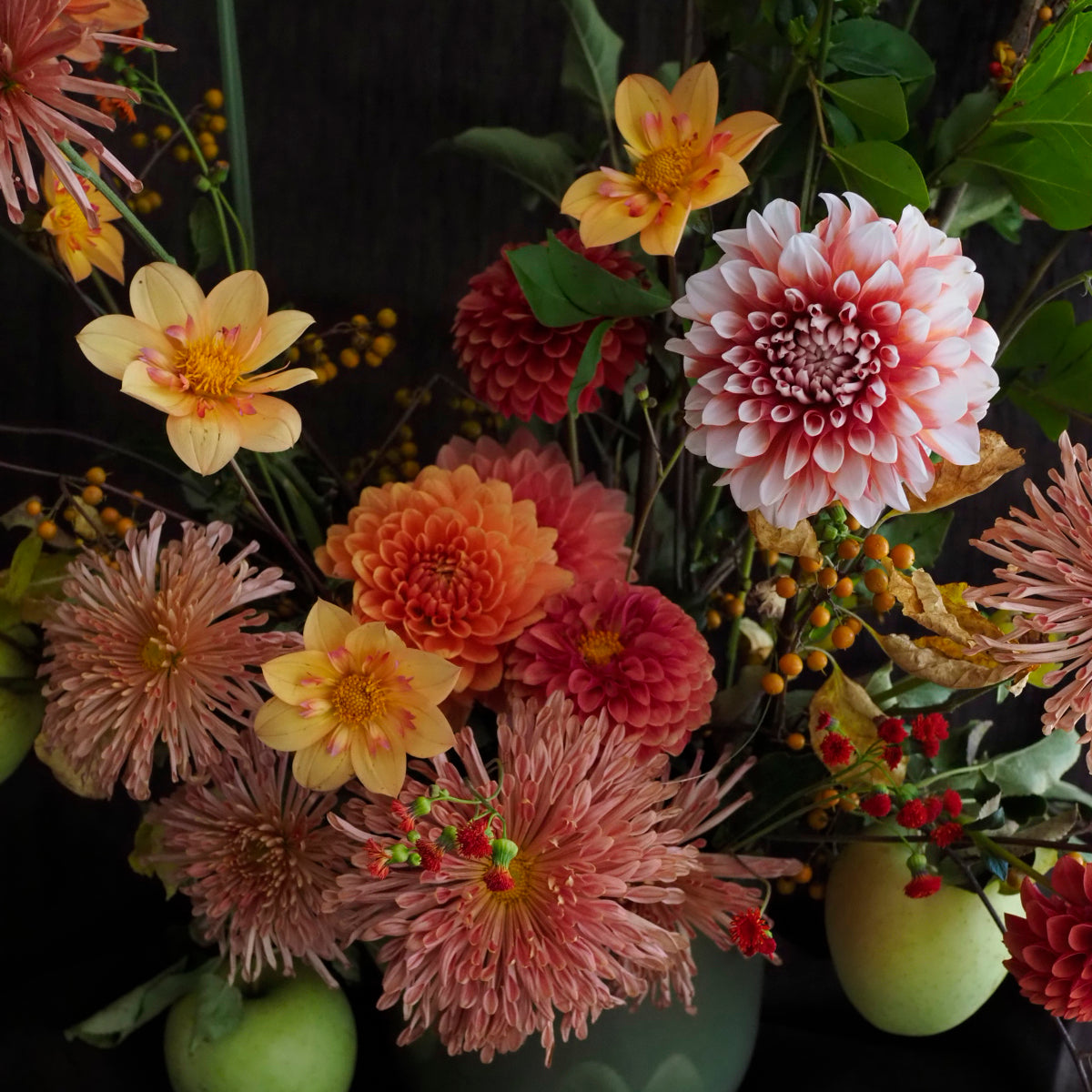 Designer's Choice LUX