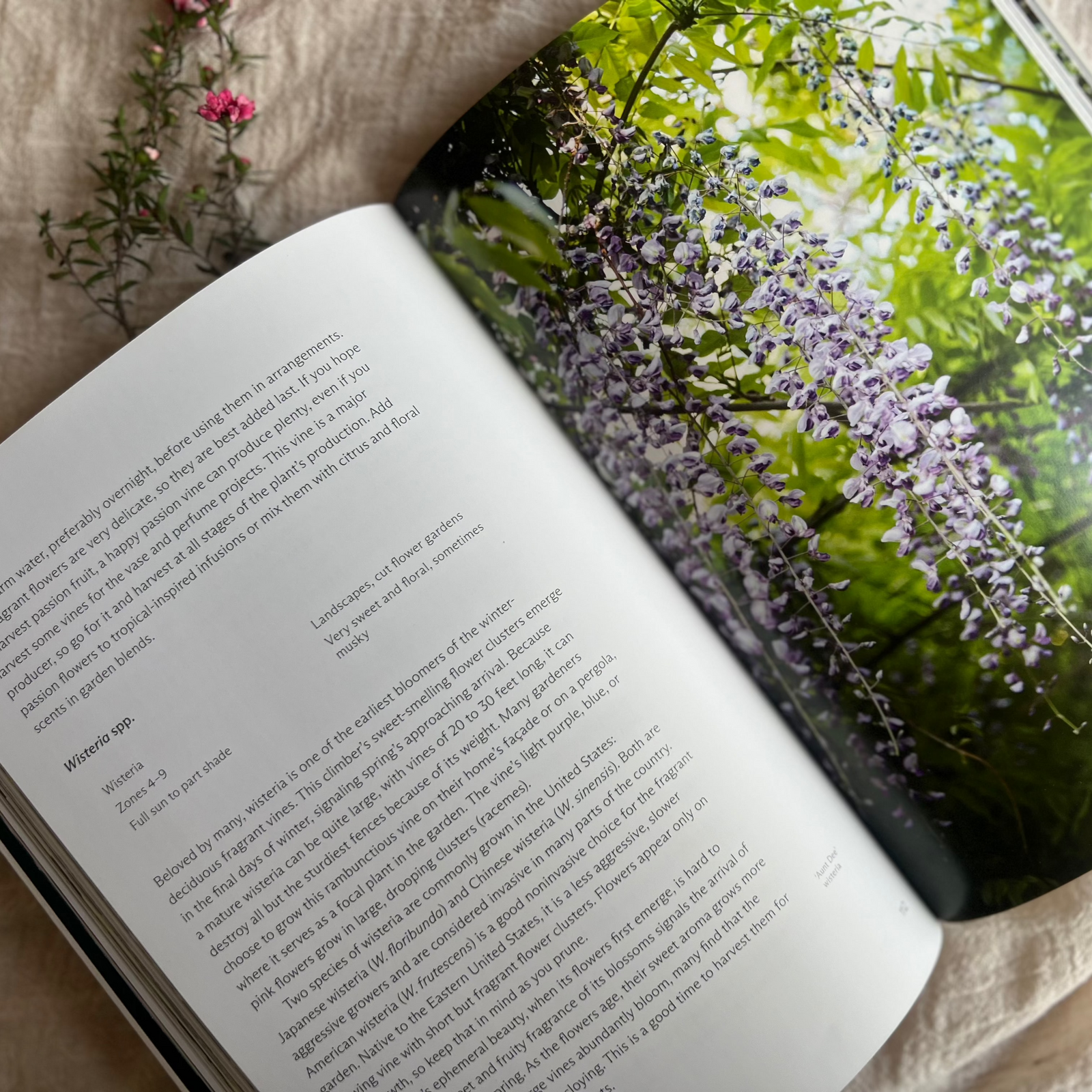 The Fragrant Flower Garden: Growing, Arranging & Preserving Natural Scents