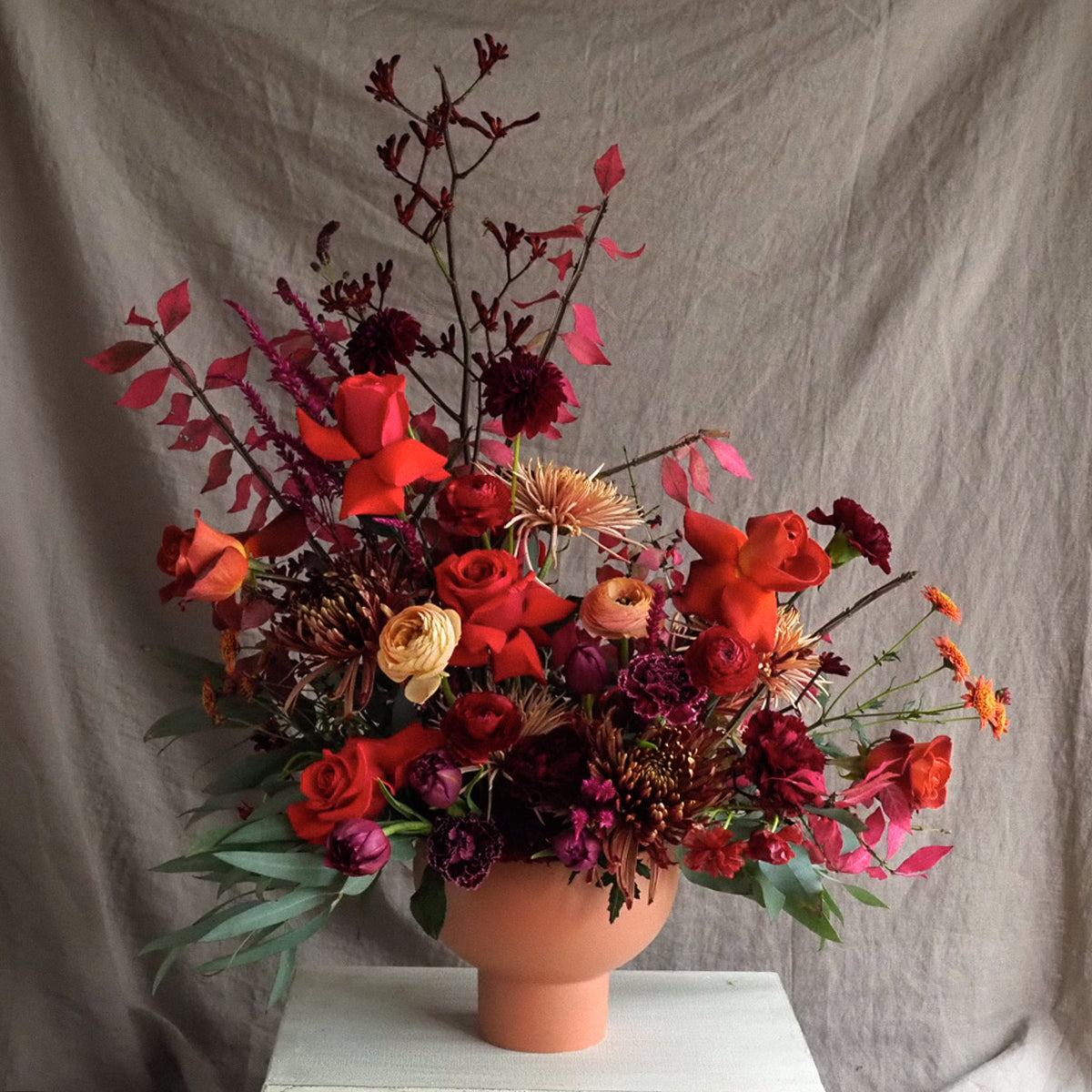 Designer&#39;s Choice LUX