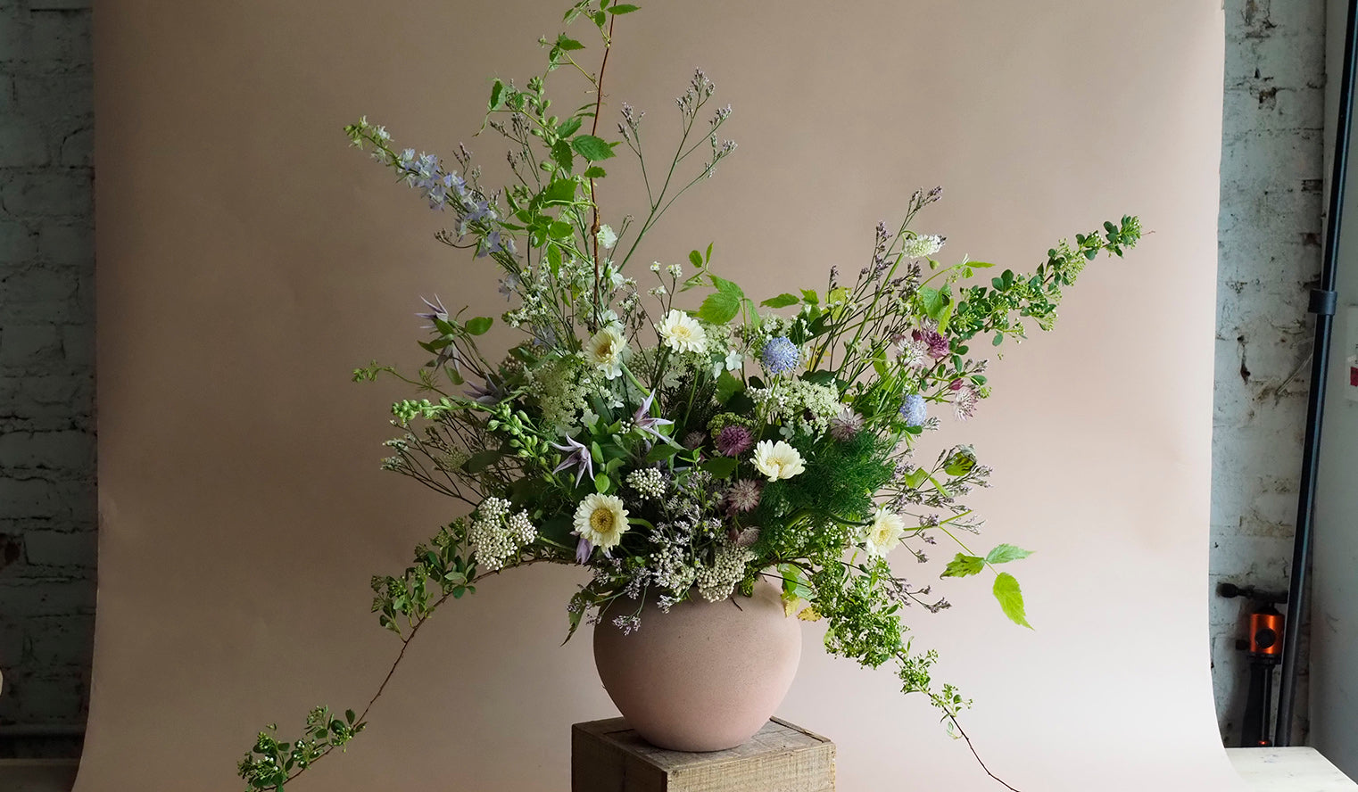 Hops Petunia Floral