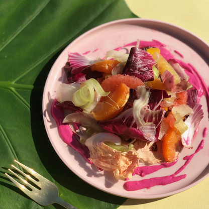 Citri Cookbook Zine