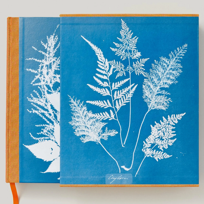 Anna Atkins Cyanotypes