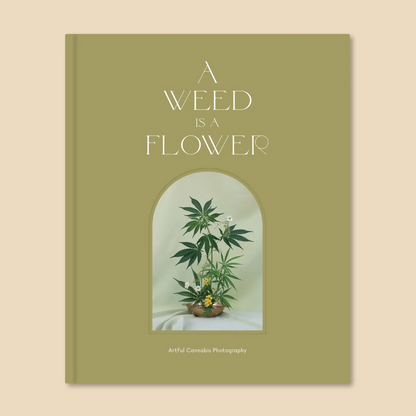 A Weed is a Flower: Artful Cannabis Photography