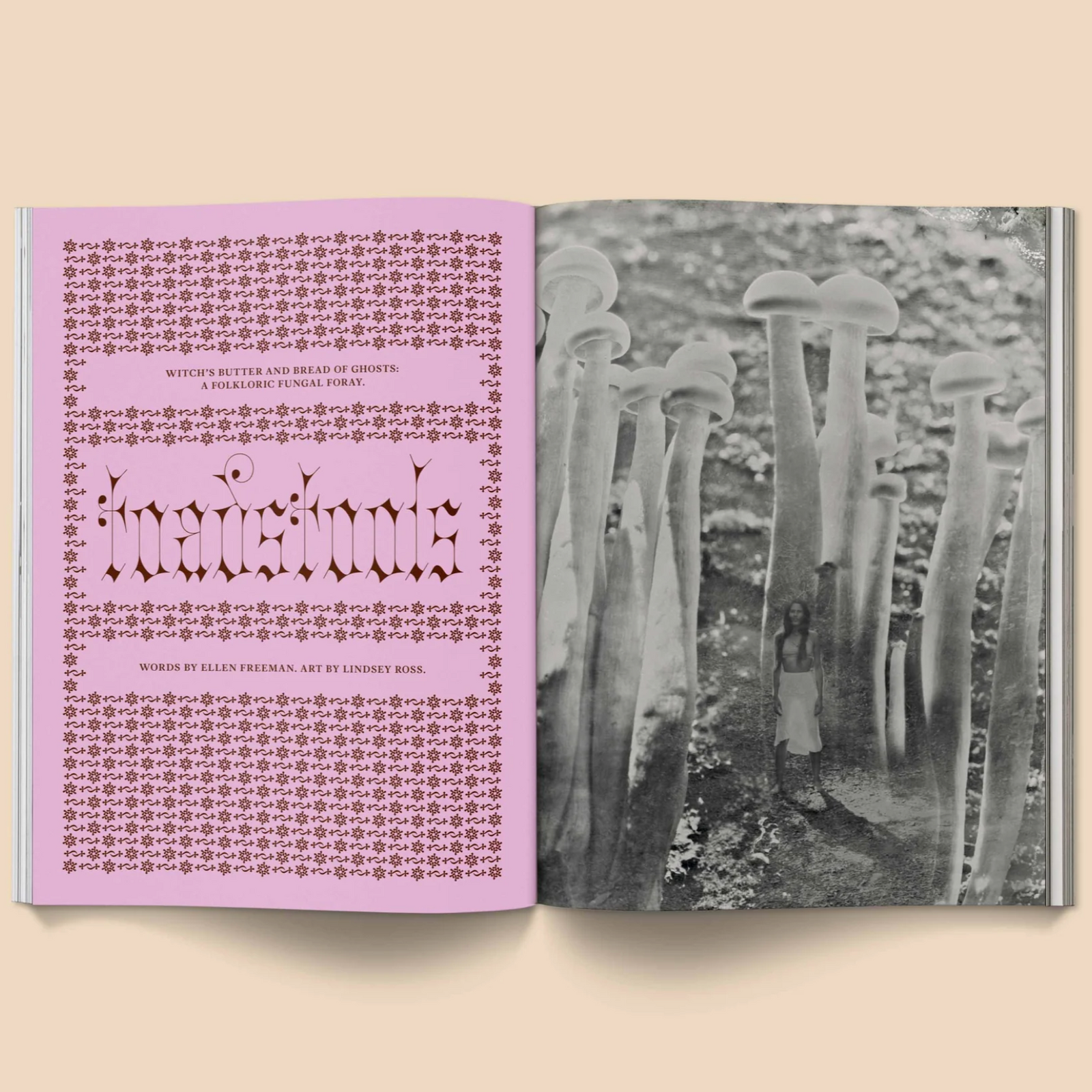 Mushroom People Magazine