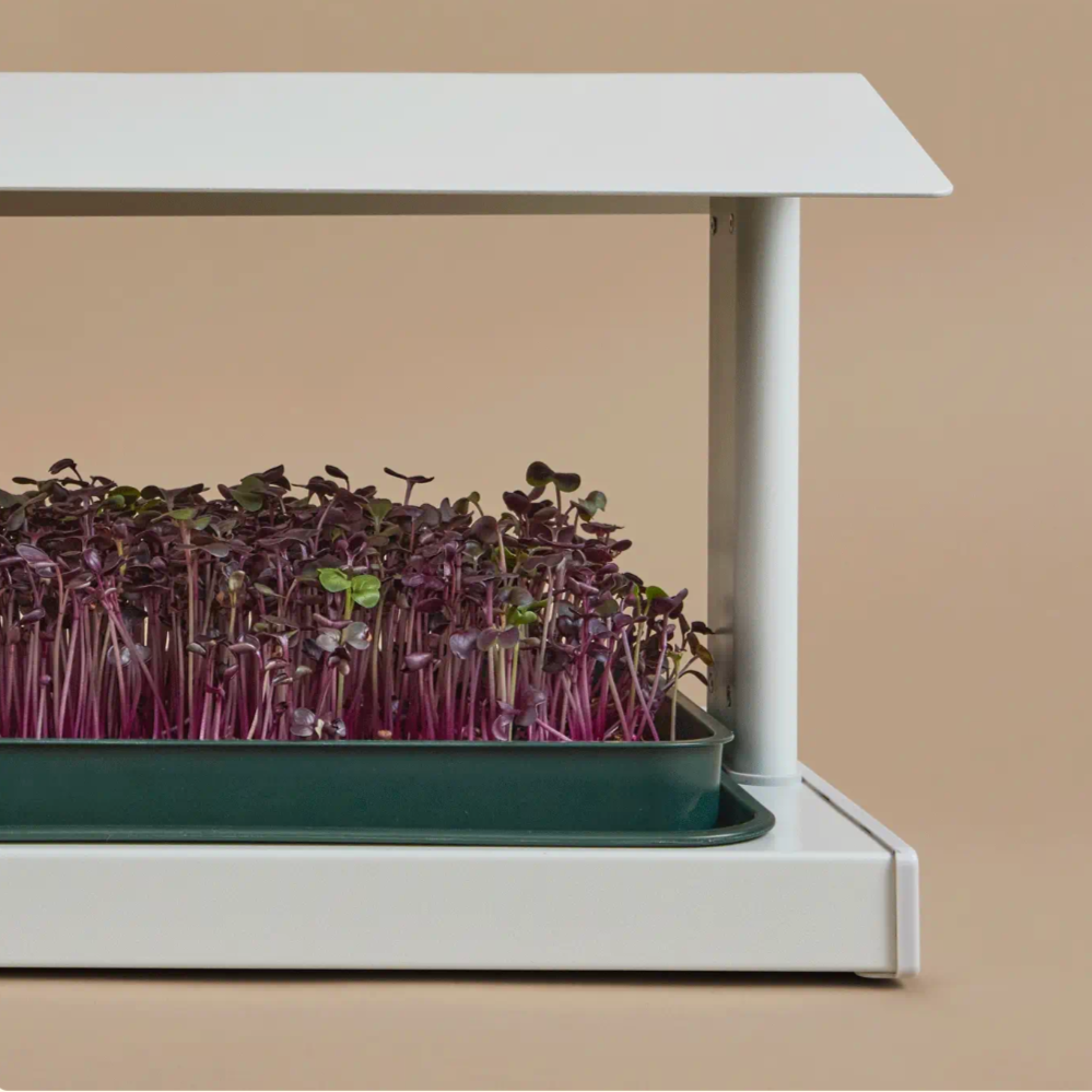 The Fieldhouse by Leath - Indoor Microgreen Grow System