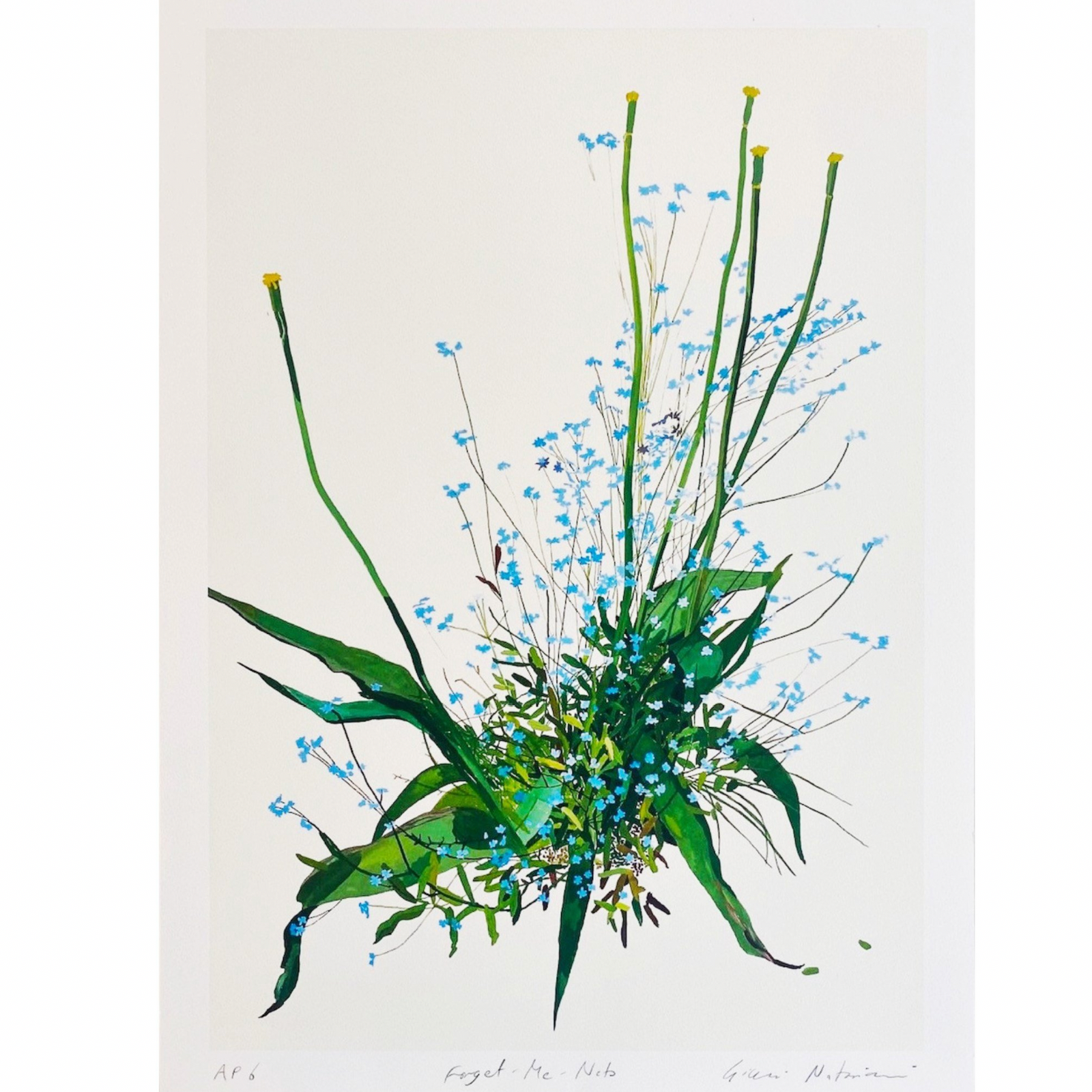 GIANNI NOTARIANNI - Forget Me Nots